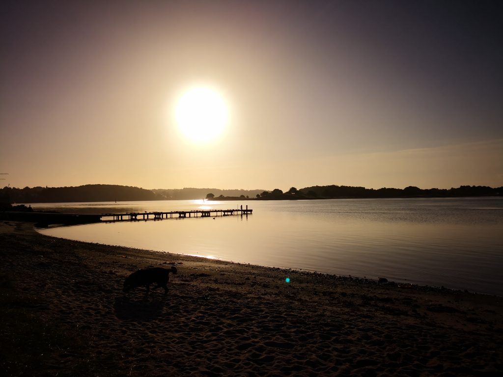 Morgenstund ved Svendborg Lystbådehavn