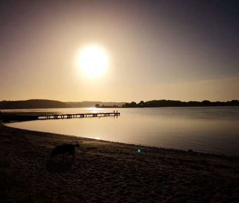 Morgenstund ved Svendborg Lystbådehavn